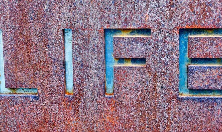 image of the word life - reframing your life story